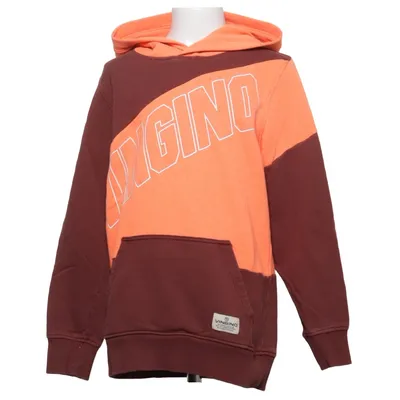 Hoodie (NASTAN) from Vingino Cotton