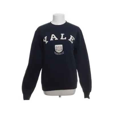 Sweatshirt (Blå) fra Champion
