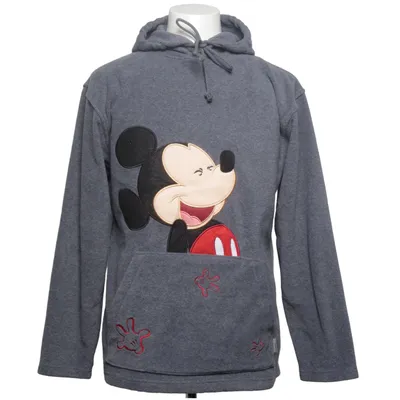 Hoodie (Gray, Multicolored) from Disneyland Paris Polyester