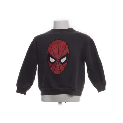 Sweatshirt (Brown) from Zara Cotton, Polyester