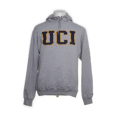 Hoodie (Gray) from Champion