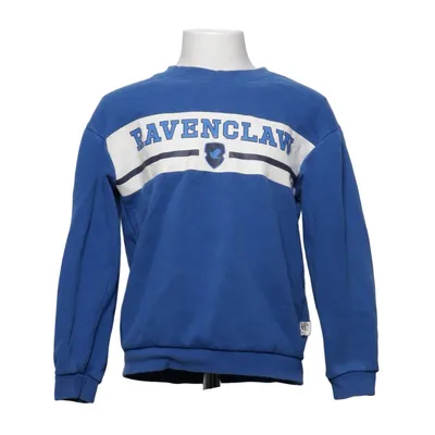 Sweatshirt (Blauw) van Harry Potter x H&M Katoen, Polyester, Elastaan