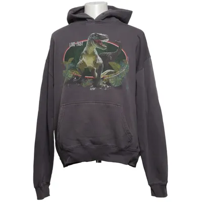 Hoodie (Gray, Multicolored) from Lfdy Cotton, Polyester
