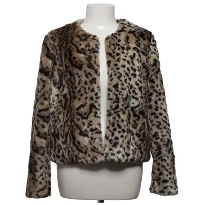 Veste (Marron, Noir) de BB Dakota Acrylique, Polyester