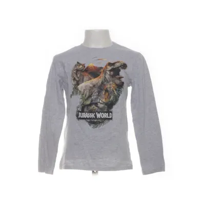 Långärmad t-shirt (Grå) från Universal Studios