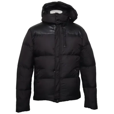 Dunjacka (Grå) från Cedrico Dun, Fjädrar, Skinn, Nylon, Polyester