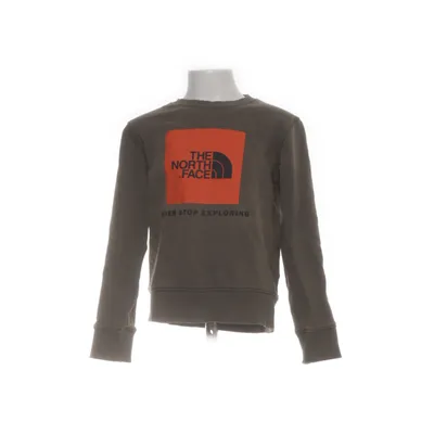 Sweatshirt (Groen) van The North Face Katoen