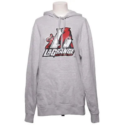 Hoodie (Gray) from District Cotton, Polyester