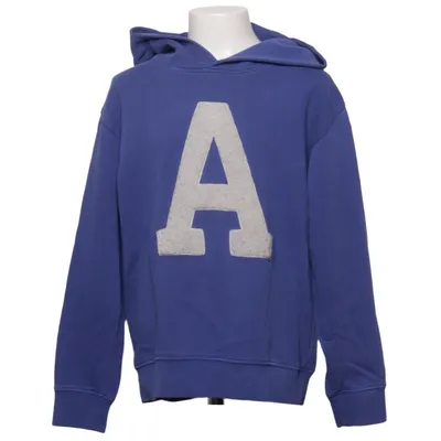 Hoodie (Blue) from Arket Cotton