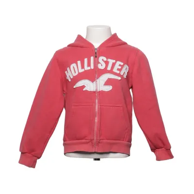 Hoodie (Pink) from Hollister