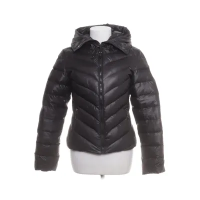 Vinterjacka (Svart) från Hollies Stockholm Bomull, Dun, Fjädrar, Polyester