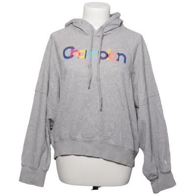 Hoodie (Gray, Multicolored) from Champion Cotton, Polyester