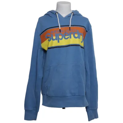 Hoodie (Blue, Multicolored) from Superdry Vintage