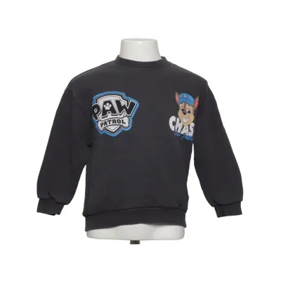 Sweatshirt (Gris) de Nickelodeon Coton, Élasthane