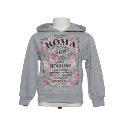 Hoodie (Gray, Multicolored) from Lemon Collection Cotton, Polyester