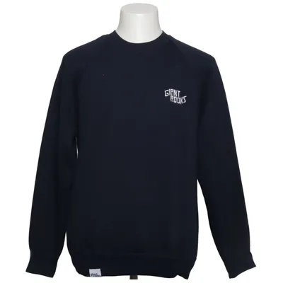 Collegetröja (Blå) från Russell Bomull, Polyester