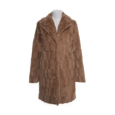 Winter coat (Brown) from Dorothy Perkins Polyester