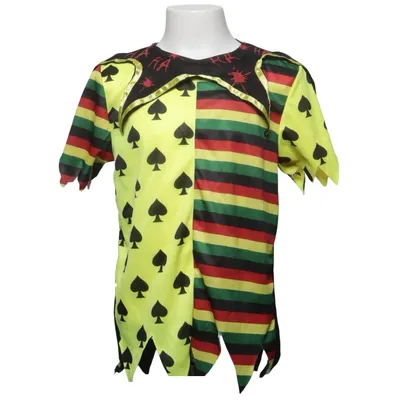 Déguisement (Noir, Jaune, Vert, Rouge, Multicolore) de George Polyester