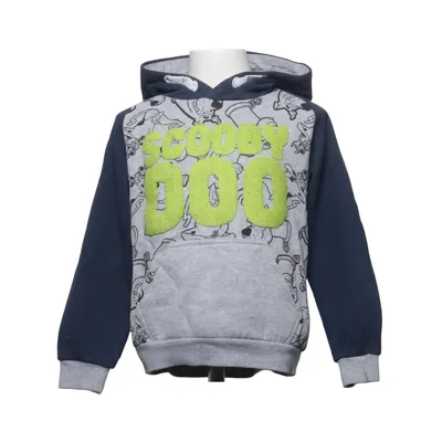 Hættetrøje (Blå, Grå, Flerfarvet) fra Scooby-Doo Bomuld, Polyester