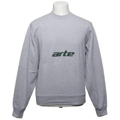 Sweatshirt (Gray) from Arte Cotton