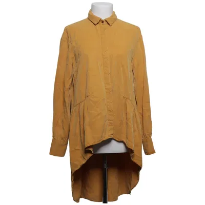 Shirt dress (Brown) from Zara Trafaluc Collection