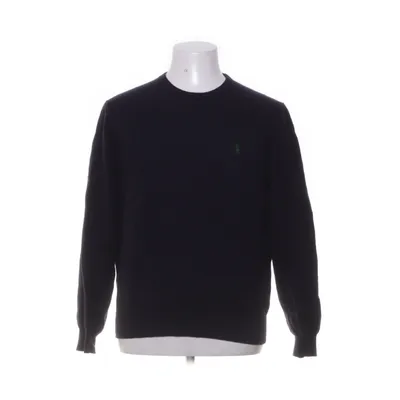 Sweater (Blue) from Polo Ralph Lauren Merino wool