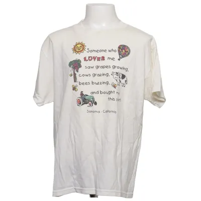 T-shirt (Beige) från Hanes Heavyweight Bomull, Polyester