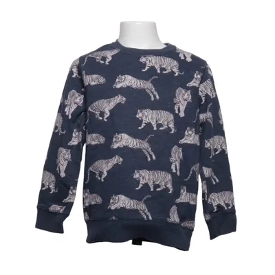 Sweatshirt (Blauw, Meerkleurig) van Zara Boys
