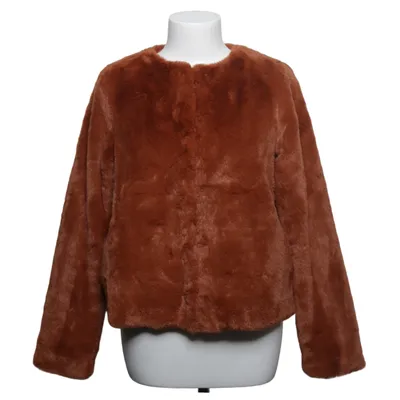 Jacket (Brown) from Divided by H&M Polyester