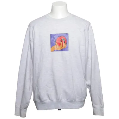 Sweatshirt (Gray, Multicolored) from Obey