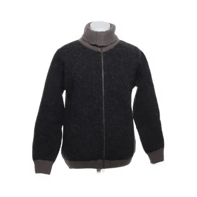 Trui (Grijs, Beige) van Devold Wol