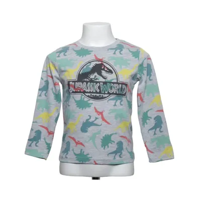 Langærmet t-shirt (Grå, Flerfarvet) fra Jurassic World