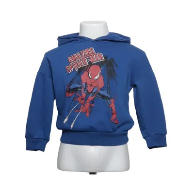 Hoodie (Blue, Multicolored) from Marvel Cotton, Polyester