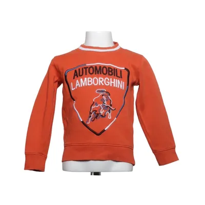 Sweatshirt (MULTI COLOR SHIELD SWEATSHIRT) van Automobili Lamborghini Katoen, Polyester