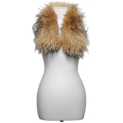 Collar (Beige, Brown) Polyester