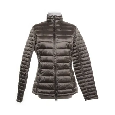 Windjack (Bruin) van Barbour