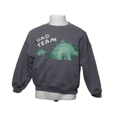 Sweatshirt (Grijs) van Zara