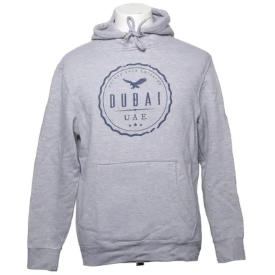 Hoodie (LS14001) from Lane Seven