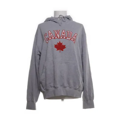 Hoodie (Gray, Red, White) from ICE 2033