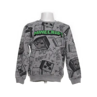 Sweatshirt (Gray, Multicolored) from Minecraft Cotton, Polyester