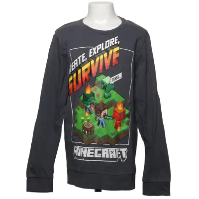 Sweatshirt (Gray, Multicolored) from Name It Organic cotton