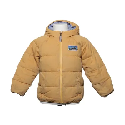 Dunjakke (Gul) fra Patagonia Bomuld, Fjer, Genanvendt polyester