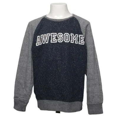 Sweatshirt (Gray, Blue) from Rebel Cotton, Polyester