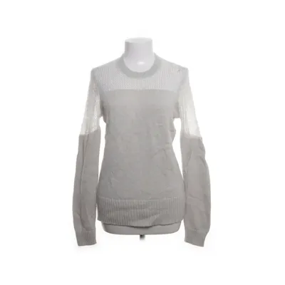 Trui (Grijs) van Allsaints