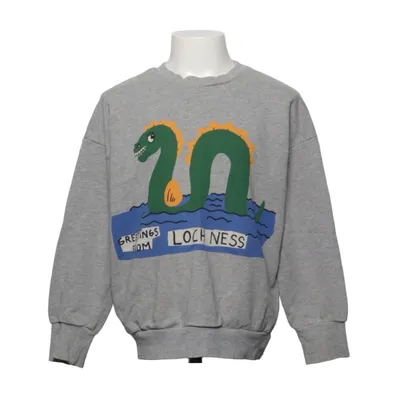 Sweatshirt (Gray, Multicolored) from Mini Rodini Cotton