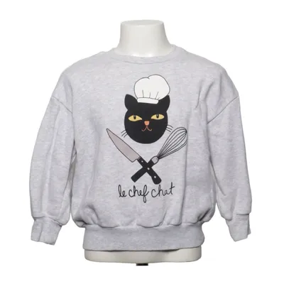 Sweatshirt (Gris) de Mini Rodini Coton