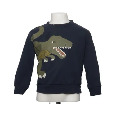 Sweatshirt (Blå, Grøn) fra Lindex Kids Bomuld