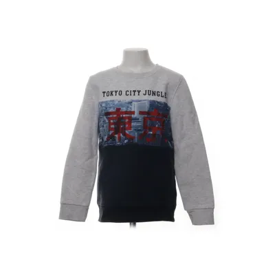 Collegetröja (Grå, Blå, Röd) från Skate Nation Polyester, Viskos