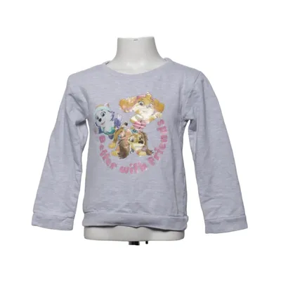 Sweatshirt (Gray, Multicolored) from Nickelodeon Cotton, Polyester