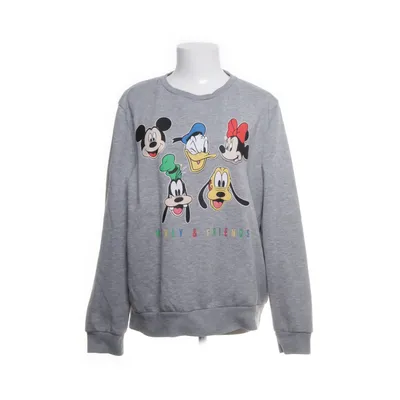 Sweatshirt (Grijs, Meerkleurig) van Disney